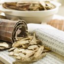 경희소나무한의원 이미지