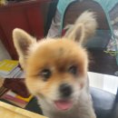 종합복지회관 이미지