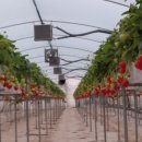 계백농장 이미지