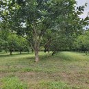 수목원농장 이미지