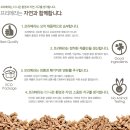 프리메라(primera)