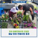 장성시장 | 장성 전통시장 후기｜봄날 장성 황룡시장 오일장에서 만난 장날 풍경