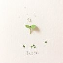 Im(아이엠) 이미지