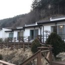 레터스펜션 이미지