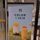 제주도 스타벅스엔 뭐가 있을까? 스타벅스 제주협재점 후기