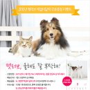 펫러브 - 8968 | 펫러브