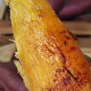 달빛온도 이미지