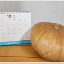 그린타운경로당 이미지