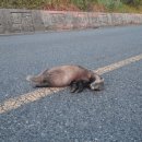 명운농장 이미지