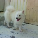 몽글몽글 이미지