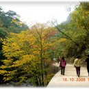 (주)정다운 여행
