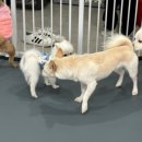 살랑살랑 멍치원 이미지