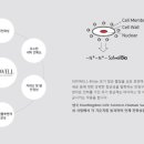 홈스마일 이미지