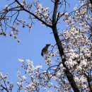 왕초보컴퓨터 이미지