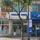 요거트월드단관점