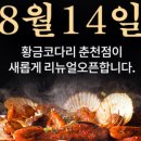 황금코다리춘천 네이버블로그