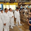 충남축산 이미지