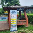 신전떡볶이철원점 | [공지] [강원 철원] 두루웰 숲속문화촌 야영장 캠핑 후기(추천 사이트, 어린이물놀이시설 정보)