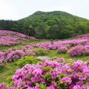 철쭉공원 이미지