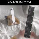 4월 초, 생애 첫 속초를 곁들인..