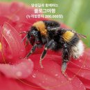 [화성시민대학] 행복한 미래를 여는 전래놀이 아카데미 | 벌떼클럽 축하이미지변경