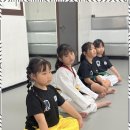 대호태권도체육관 이미지