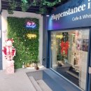 HAPPENSTANCE | 홍대역 카페 겸 위스키바 해픈스탠스 인 엄브렐라