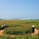 중천농장 이미지