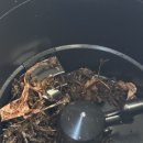 클린어스 | 음식물처리기 퓨리엘 클린어스 솔직 후기｜필터 교체 1년에 한 번이면 끝