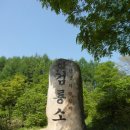 태백시청 이미지