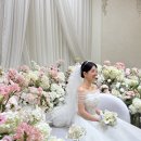 나도 디지털 카메라(DSLR) 사진 작가 | 아이폰스냅 작가 도전 후기 및 친구 결혼식 사진 찍어줄 때 팁