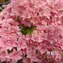 유앤미 이미지