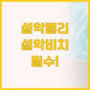 켄싱턴레져 | 켄싱턴리조트 설악밸리 vs 설악비치 숲과 바다 중 당신의 선택은