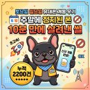 kt전산정보센터 | 토요일 일요일 휴대폰 개통 후기, 주말에 정지된 폰 10분 만에 살려낸 썰 (누적 2200건)