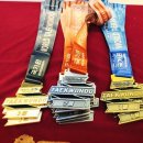 용인대 아리랑 태권도장 이미지