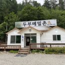 손수지은꽃 | 평창) 직접 만든 손두부로 끓인 두부전골, 수육 맛집 후기