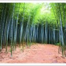 용천목장 이미지