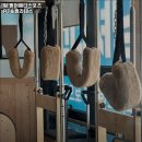 팔머메디스포츠