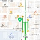 반려동물미용실 언니네 이미지