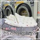 대현세탁 | 울산 대현동 겨울이불빨래 야음동셀프빨래방 #런드리나인 찐후기