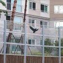 24호선 국도변 이미지