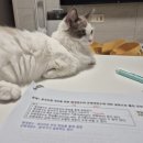 춘천한샘고등학교 | [일상] 빅분기 11회 필기 시험 후기