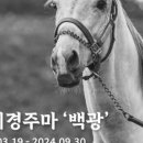 백광기획 네이버블로그