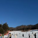 오크밸리 스노우파크 | 스노우보드 입문 고민 끝! 직장인 겨울 취미 시작 후기