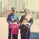 인천능허대초등학교 이미지