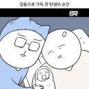 모란여성병원 네이버블로그