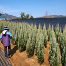 응애농원 이미지