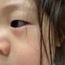 임자어린이집 이미지