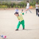 용봉초등학교 이미지