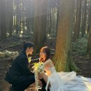 초원장 | 제주 웨딩스냅 가격 합리적인 ‘기무스냅’ 겨울 촬영 찐후기 /part 1. 셀프웨딩 제주스냅 업체선정...